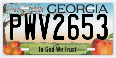 GA license plate PWV2653