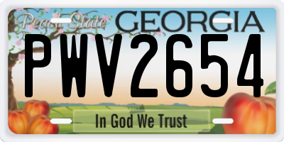 GA license plate PWV2654