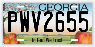 GA license plate PWV2655