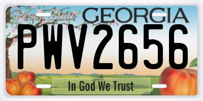 GA license plate PWV2656