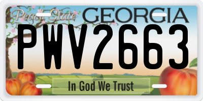 GA license plate PWV2663