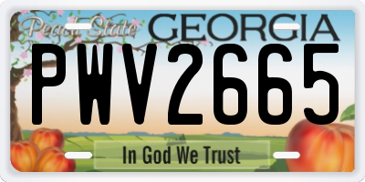 GA license plate PWV2665