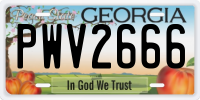 GA license plate PWV2666