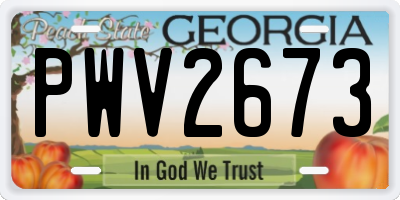 GA license plate PWV2673