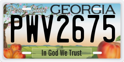 GA license plate PWV2675