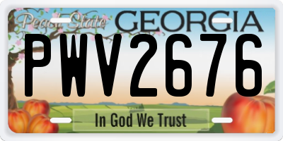 GA license plate PWV2676