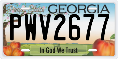 GA license plate PWV2677