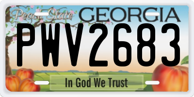 GA license plate PWV2683