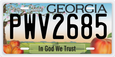 GA license plate PWV2685
