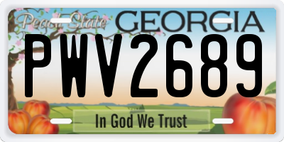 GA license plate PWV2689