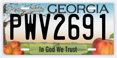 GA license plate PWV2691