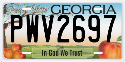 GA license plate PWV2697