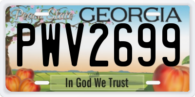 GA license plate PWV2699