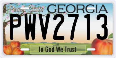 GA license plate PWV2713