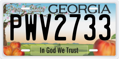 GA license plate PWV2733