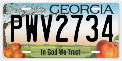 GA license plate PWV2734