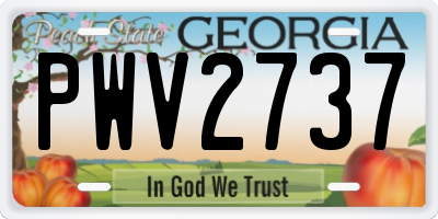 GA license plate PWV2737