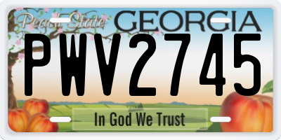 GA license plate PWV2745
