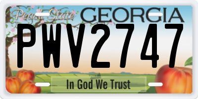 GA license plate PWV2747