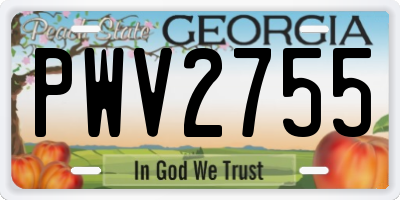 GA license plate PWV2755