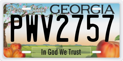 GA license plate PWV2757