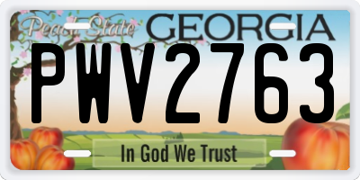 GA license plate PWV2763