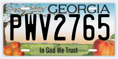 GA license plate PWV2765