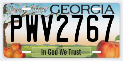 GA license plate PWV2767