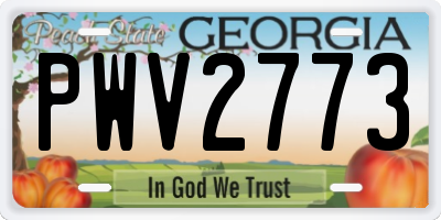 GA license plate PWV2773