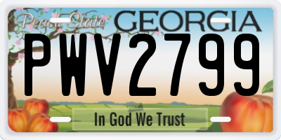 GA license plate PWV2799