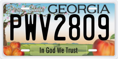 GA license plate PWV2809