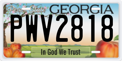 GA license plate PWV2818