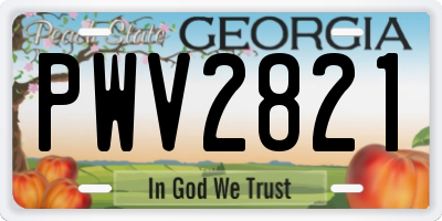 GA license plate PWV2821