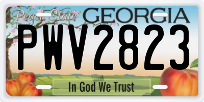 GA license plate PWV2823