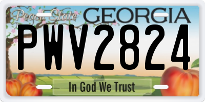GA license plate PWV2824