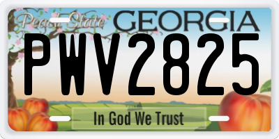 GA license plate PWV2825