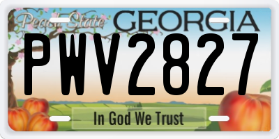 GA license plate PWV2827