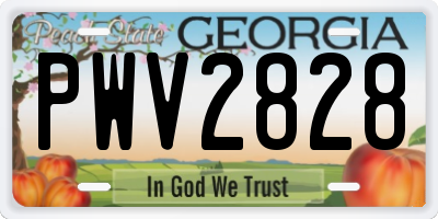 GA license plate PWV2828