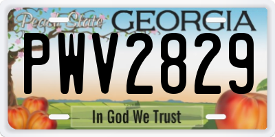 GA license plate PWV2829