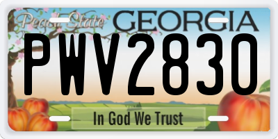 GA license plate PWV2830