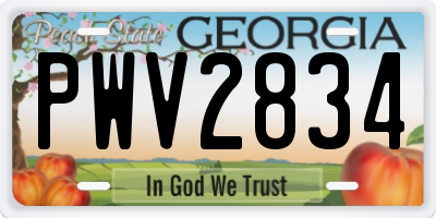 GA license plate PWV2834