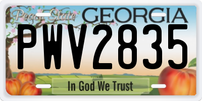 GA license plate PWV2835