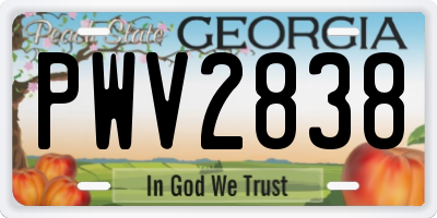 GA license plate PWV2838