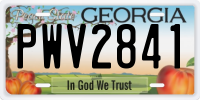 GA license plate PWV2841