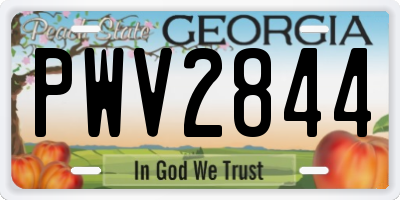 GA license plate PWV2844