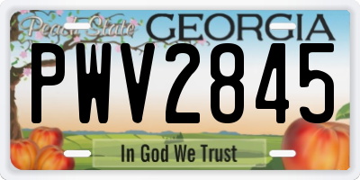 GA license plate PWV2845