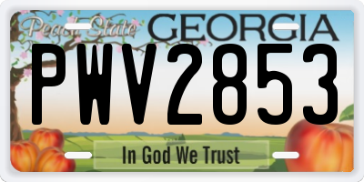 GA license plate PWV2853