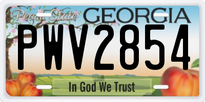 GA license plate PWV2854