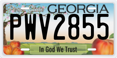 GA license plate PWV2855