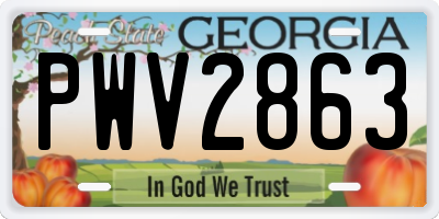 GA license plate PWV2863
